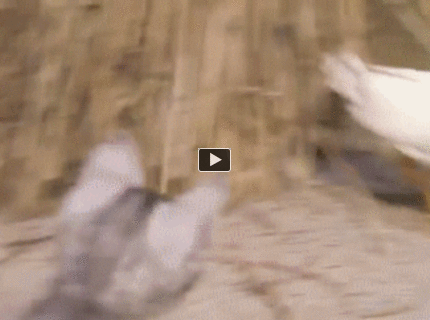 Tak tá ma poriadny strach