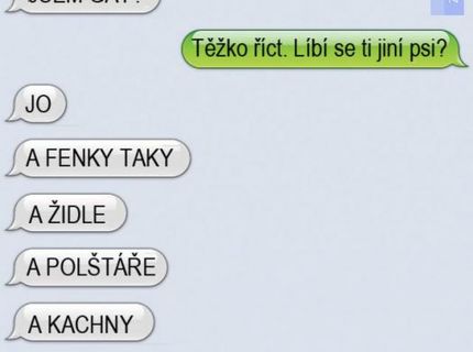 Dlho s tým zápasil ale nakoniec pravda vyšla najavo..:)