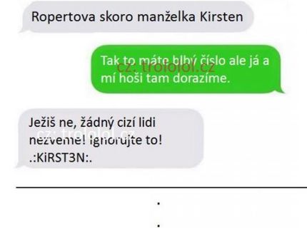 Nepozvaní hostia urobili aj tak najväčšiu show, bez nich to nemá zmysel.:D