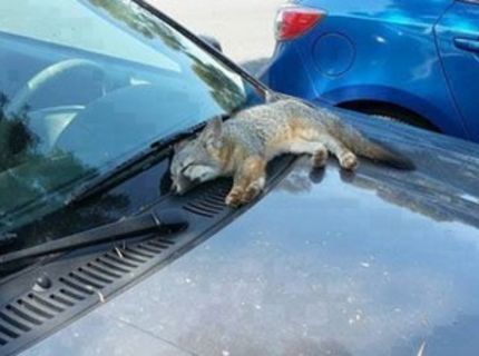 Tu sa mi spí najlepšie