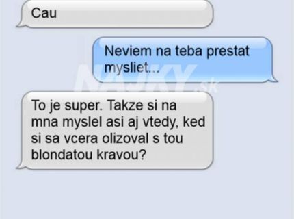 Nemala to vidieť, ale odkiaľ si mohol byť istý že to videla?.:D