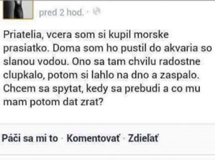 Chalan to vychytal...morské prasiatko sa určite tiež bavilo..:D