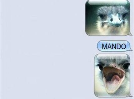 Zvedavý je dosť ešte by to chcelo trochu viac kriku..:D