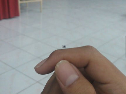 Ak zvládneš toto tak môžeš ist do Disneyovky :D