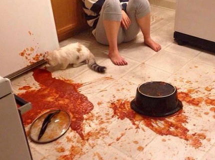 Takto vyzerá porážka v bežnom živote :D