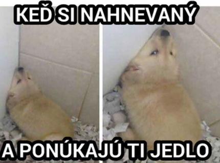 Kto s spoznáva v tejto situácii tak lajk :D