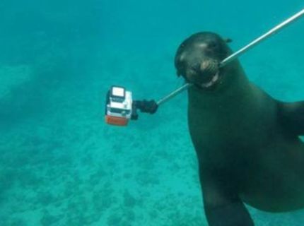 Kukaj čo som šlohol