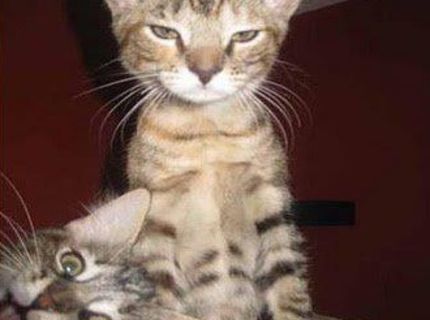 No tak sme si troška dali