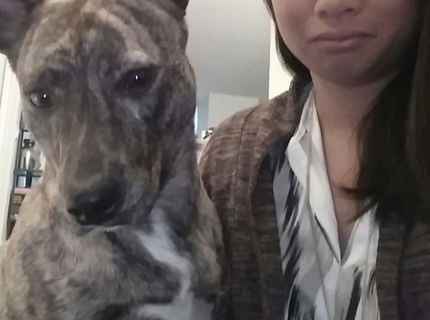 Tak toto omze byt fakt pruser :D