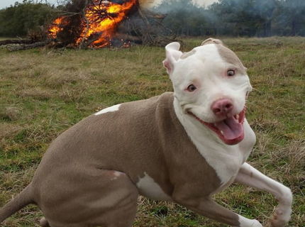 Totalny pycho usmev :D