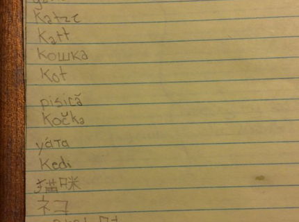 Viete čo chcú dievčatá na vianoce?