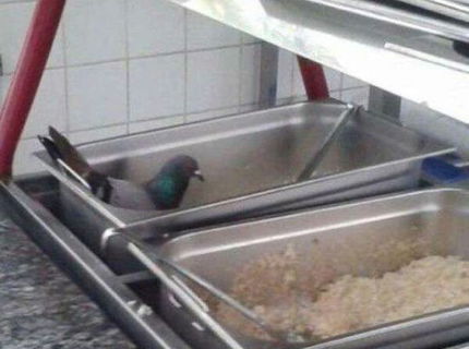 Máte radi holubiu polievku?:D