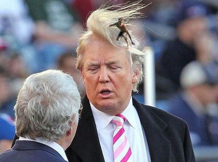 Tak toto je stobodové :D