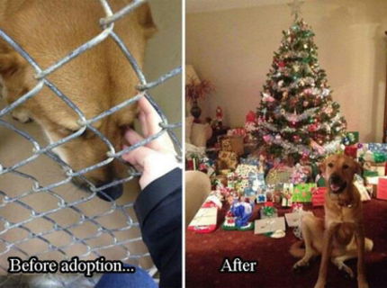 Krásne! Lajk & share