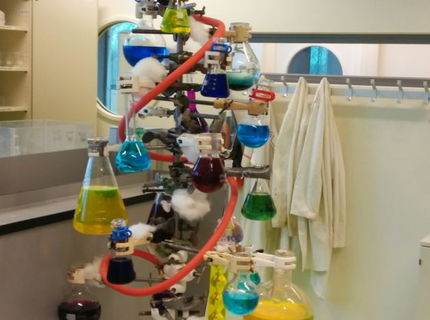 Takto sa slávia vianoce v laboškách :D