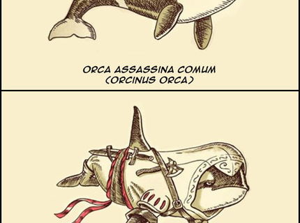 Assassinus orca :D Čo vám to pripomína?:D
