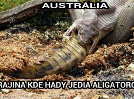 Vitajte v Australii... radsej nevychadzajte von! :D
