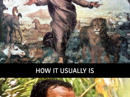 Pre programatorov :)