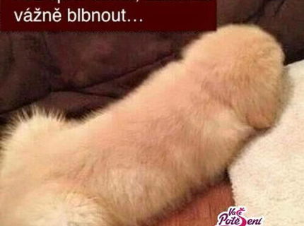 Pozrite sa na to poriadne! :D