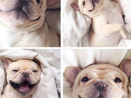 Krásne! Táto koláž ti zaručene vylepší náladu! :))