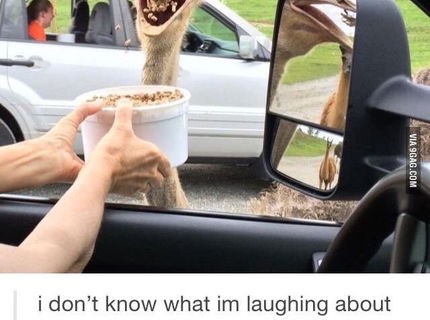 Momentka ako vyšita zo Zoo :D