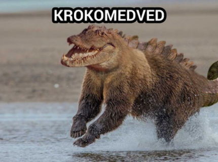 Toto je fail dna :) Krokomedved:)