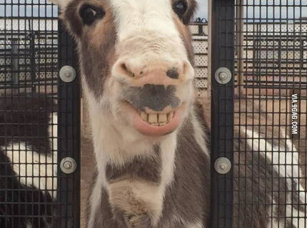 Z tohto usmevu nejde nič dobre... D: