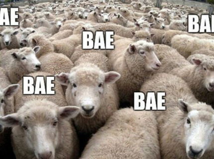 Vzdy ked uvidim stado oviec... :D