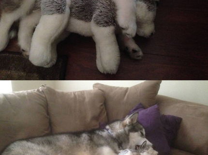 Jeej..toto je rozkošné :D