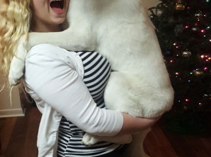 Kto to pozná tak lajk ! :)