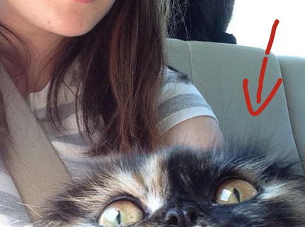 Fotka, ktora sa naozaj vydarila! Toto je selfie :)