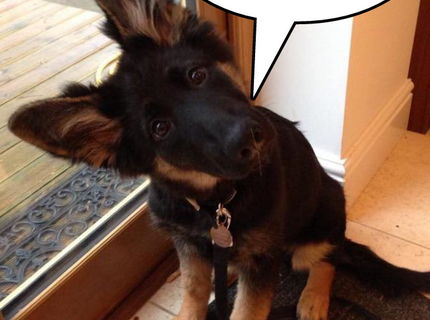 Jeeej... toto je naozaj roztomile :)