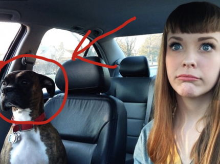 Tu je dokaz, ze sa domaci milacikovia podobaju na ich panov :D