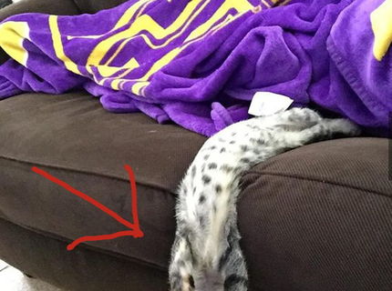 Pohodový spánok? No problemo :D