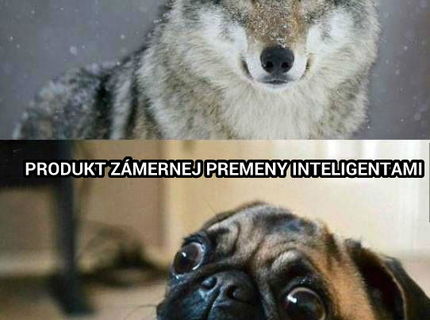 Príroda vs ludska tvorivost 1:0 ... :D