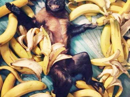 :D Baby medzi inžiniermi :D