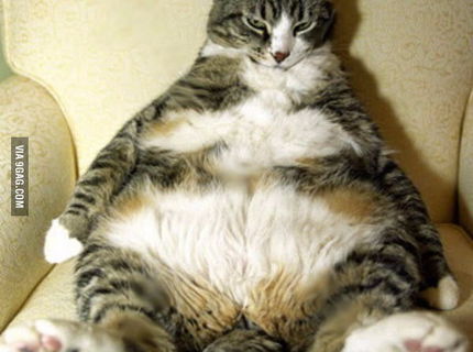 Sumarizacia po vianocnych sviatkoch... ako to vyzera u vas? :D