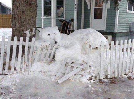 Ak zvalis susedovi plot mozes skusit toto... :)