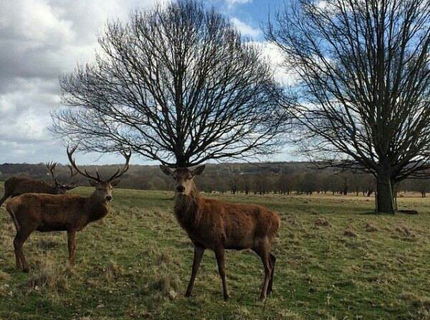 Tak toto je momentka! :D