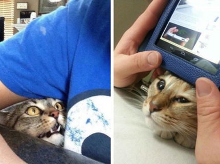 Toto je super napad ako si urobit stojan na tablet :D