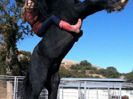 Toto je brutálna fotka!