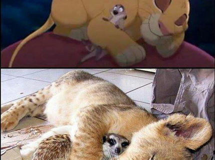 Jeej to je krásne :D