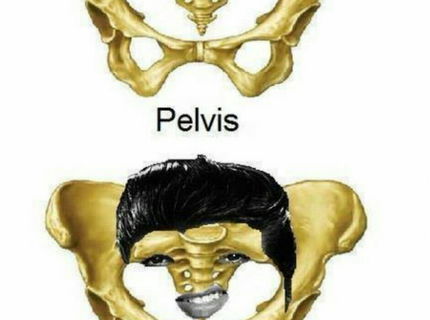 Viete co je to Pelvis ?:D