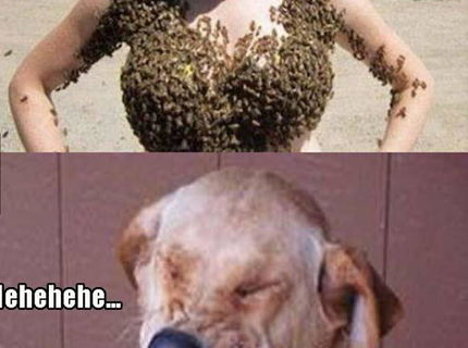 Ziva podprsenka! To musite vidiet