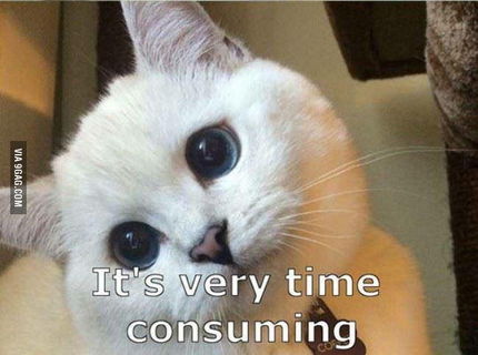 Podarené! Táto mačka je bohová ! :D