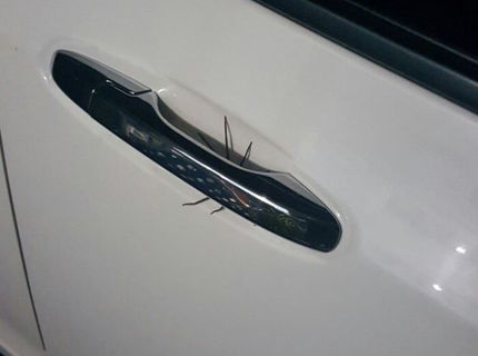 Toto je huste! Pozri sa čo si našiel tento pan pod klučkou auta...