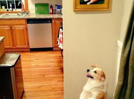 Dokonalé! :D Toto musíte vidieť :D