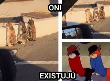 Zda sa mi to? Vidíš tu podobu aj ty? :D