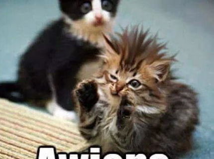 Jeej .. tak toto je rozkošne :D