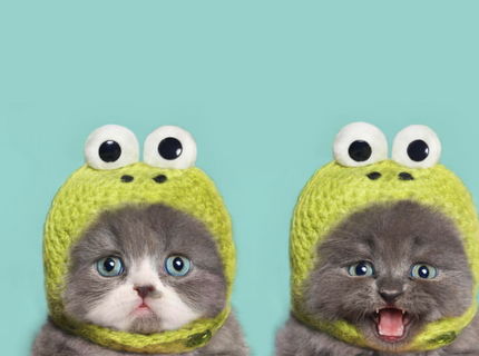 Lebo len jedna nestaci :D